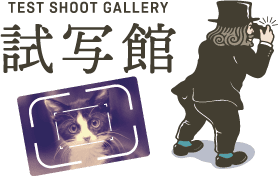 試写作例
