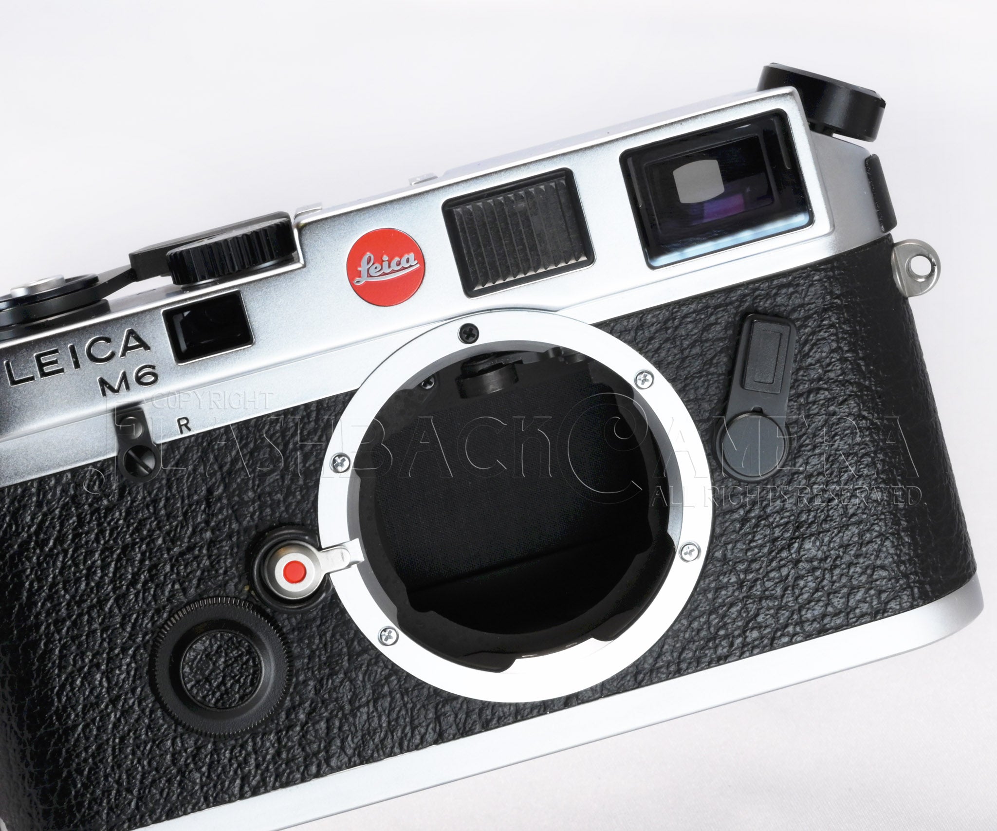 Leica M6 Panda – FLASHBACK CAMERA