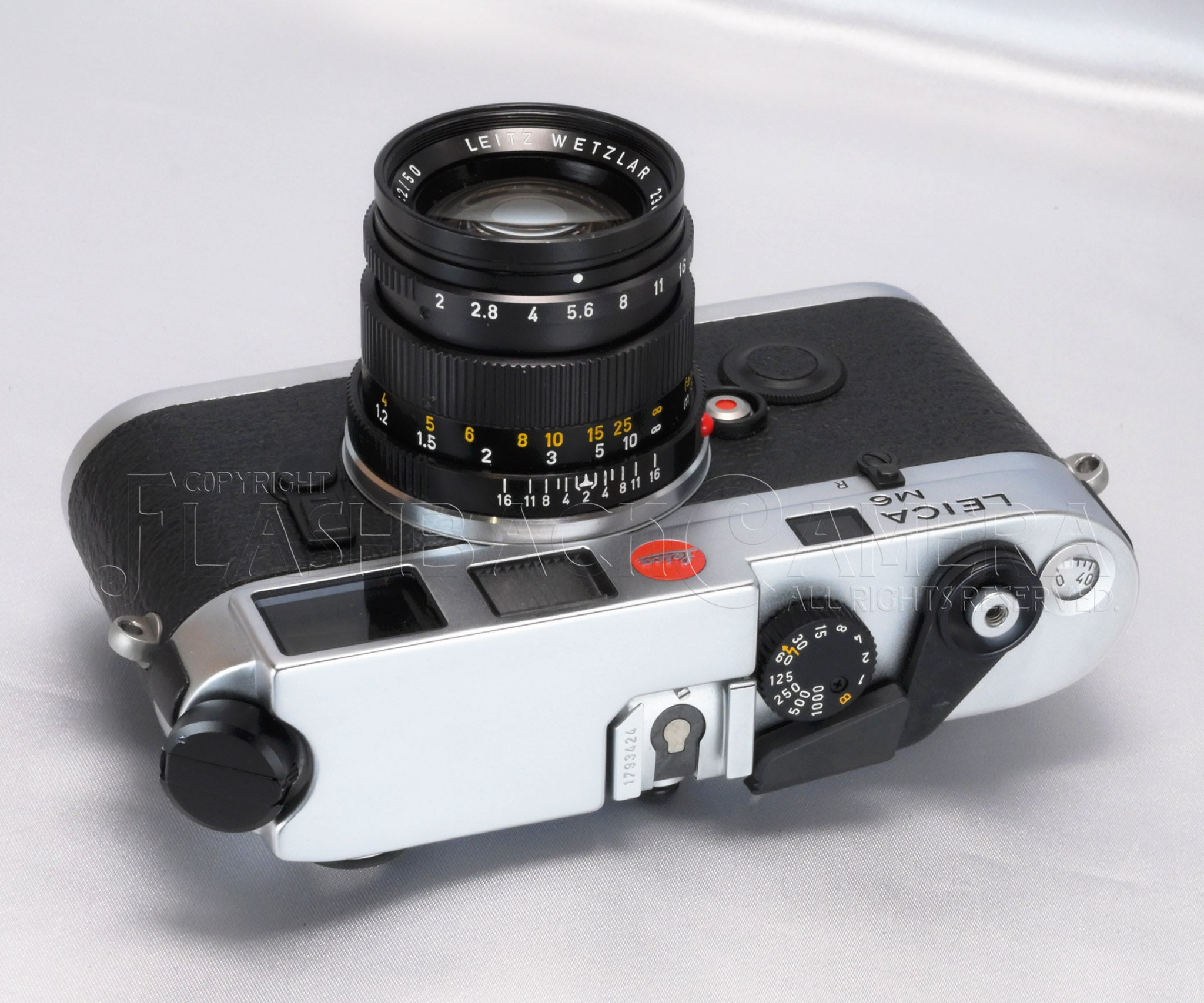 Leica M6 Panda – FLASHBACK CAMERA